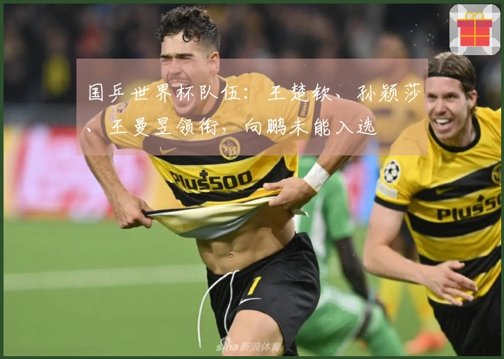 国乒世界杯队伍：王楚钦、孙颖莎、王曼昱领衔，向鹏未能入选